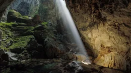 Die Son-Doong-H&ouml;hle ist die gr&ouml;&szlig;te der Welt und bietet Platz f&uuml;r eigene W&auml;lder, die zahlreiche Tier- und Pflanzenarten beherbergen.