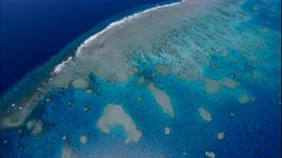 Das Great Barrier Reef in Australien ist wohl das gr&ouml;&szlig;te, von Lebewesen geschaffene Gebilde.