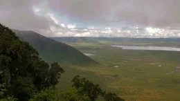 Im Ngorongoro-Krater halten sich saisonal bis zu 25.000 Tiere auf, er gilt als der Ort mit der gr&ouml;&szlig;ten Raubtierdichte Afrikas.