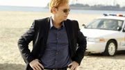 Nachdem der grausame Serienkiller Navarro wieder zugeschlagen hat, versucht Horatio (David Caruso) ein weiteres Mal den M&ouml;rder in Wei&szlig; zur Strecke zu bringen.