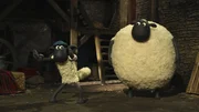Die Schafe feiern den Geburtstag des Farmers und kosten von seiner Torte.