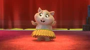 Meerschweinchen Ginny traut sich und macht beim Tanzwettbewerb mit. Nur welches Lied passt am besten zu ihr?