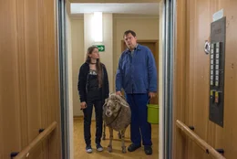 Jill (Emilie Neumeister) und Roger (Charly H&uuml;bner) mit dem Schaf des Nachbarn.