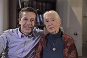 Dirk Steffens trifft die ber&uuml;hmte Schimpansen-Forscherin Jane Goodall in ihrem Haus in Bournemouth.