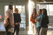 Horatio (David Caruso, 2.v.l.) spricht mit Walter (Omar Miller, li.), Sam (Taylor Cole, 3.v.r.), Ryan (Jonathan Togo) und Natalia (Eva La Rue) &uuml;ber den Anwalt Vogel, der die Arbeit der Ermittler in &auml;u&szlig;erst schlechtem Licht dastehen l&auml;sst.