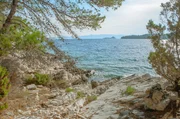Mljet – auch als Odysseus-Insel bekannt – ist mit über 70 Prozent Waldfläche eine der waldreichsten Inseln im gesamten Mittelmeerraum. Mljet – auch als Odysseus-Insel bekannt – ist mit über 70 Prozent Waldfläche eine der waldreichsten Inseln im gesamten Mittelmeerraum.