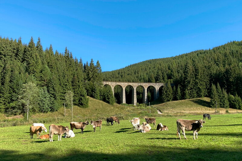 Slowakei - kleines Land der gro&szlig;en &Uuml;berraschungen