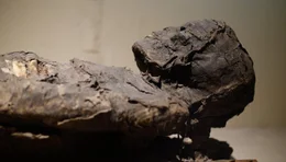 Mumie  Die Verwendung des sendungsbezogenen Materials ist nur mit dem Hinweis und Verlinkung auf RTL+ gestattet.