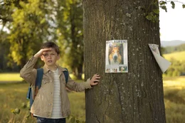 Foto: &copy;2019 TOM TRAMBOW  Projekt: &atilde;Lassie Come Home&Ograve;  Produktion: LCH Film UG Producer /Line Producer: Henning Ferber  Co-Producer: Warner Bros. Entertainment GmbH Service Producer: Michal Pokorny, Zbynek Pippal Director: Hanno Olderdissen DoP: Martin Schlecht Production Manager: Martin Homer Production Manager CZ:  Petr Dilek  DT#34 18.07.2019  Motiv:  FOREST / COUNTRY ROAD COUNTRY ROAD / FRANKAS VAN LAKESIDE / FRANKAS VAN / PARKED  Special: BTS  Scene: 133A Flo puts up Flyer. 133B Flo biking down the road. Flyers everywhere. 102 Lassie jumps off, of the Vans roof and hides in the bush. 105 Lassie comes to trust them and eats sausages.  Cast: 01. Florian Maurer - Nico Marischka 17. Franka - Jana Pallaske  Lassie Toots   --------- Nicht am Set: 02. Andreas Maurer - Sebastian Bezzel 03. Sandra Maurer - Anna Maria Muehe 04. Priscilla Von Sprengel - Bella Bading 05. Count Von Sprengel - Matthias Habich 06. Manfred Gerhardt - Justus von Dohna?nyi 07. Hinz - Christoph Letkowski 08. Sebastian Von Sprengel -Johann von Bu?low 09. Helene Haberl - Sina Reiss 10. Mrs. Moeller - Sarah Camp 11. Tino - Max Angerer  28. Daphne Brandt - Sina Bianca Hentschel 29. Michael Wolf - Henning Harder 33. Ronny - Milton Welsh 34. Maik - Jo?rg Ru?hl 35. Workman - Gode Benedix 36. Leonie - Luise Minna Richter 38. Construction Worker - Otmar Brancouzsky  Features Extras: Jonas - Silvio Poschl Fritz - Maximilian Konigsbauer  Double: Flo DBL - Oskar Brune Priscilla DBL - Lotta Svenja Golombek