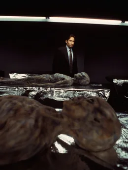Fox Mulder (David Duchovny)