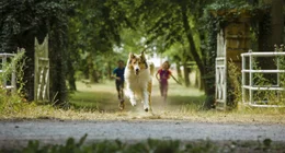 Lassie