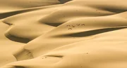Rosaflaminos in der W&uuml;ste Namib, Namibia  +++ Die Verwendung des sendungsbezogenen Materials ist nur mit dem Hinweis und Verlinkung auf RTL+ gestattet. +++