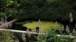 Das ausgekl&uuml;gelt bew&auml;sserte Vale de Pa&uacute;l auf der kapverdischen Insel Santo Ant&atilde;o zeigt sich in &uuml;ppigem Gr&uuml;n.