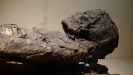 Mumie    +++ Die Verwendung des sendungsbezogenen Materials ist nur mit dem Hinweis und Verlinkung auf RTL+ gestattet. +++