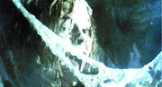 Ellen Ripley wird von einem Rettungsteam gerettet, nachdem sie 57 Jahre im Hyperschlaf verbracht hat.  Der Mond, den der Nostromo besuchte, wurde kolonisiert,  aber der Kontakt ist verloren. Diesmal haben Kolonialmarines beeindruckende Feuerkraft,  aber wird das ausreichen?