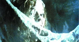 Ellen Ripley wird von einem Rettungsteam gerettet, nachdem sie 57 Jahre im Hyperschlaf verbracht hat.  Der Mond, den der Nostromo besuchte, wurde kolonisiert,  aber der Kontakt ist verloren. Diesmal haben Kolonialmarines beeindruckende Feuerkraft,  aber wird das ausreichen?