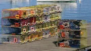Brightly colored lobster traps and harbor view. Brightly colored lobster traps and harbor view.