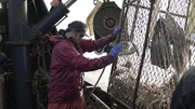 Deckhand Zach Larson helps pull up a pot full of crabs on the Brenna A.