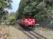 SÜDWESTRUNDFUNK Eisenbahn Romantik, Folge 1084 - Unterwegs durch Taiwans Westen Direkt am Bahnhof Alishan befindet sich eine Spitzkehre. Die 750 PS starke Diesellok wurde von Mitsubishi extra für diese Strecke gebaut.