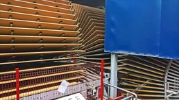 Bildunterschrift: Aus den gef&auml;llten St&auml;mmen werden in mehreren Produktionsschritten Spanplatten gepresst, aus denen wiederum die einzelnen K&uuml;chenmodule gefertigt werden.