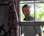 Während Steve (Alex O'Loughlin, r.) und seine Kollegen an einem neuen Fall arbeiten, versucht Catherine (Michelle Borth, l.) über einen Beamten des Zeugenschutzprogramms den Aufenthalt seiner Mutter herauszubekommen ...