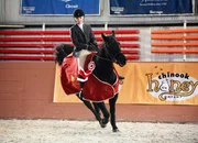 Die geborene Springreiterin: Amber Marshall als Amy Fleming Die geborene Springreiterin: Amber Marshall als Amy Fleming