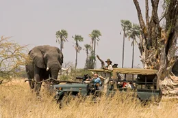 Wildlife Filmmakers Dereck and Beverly Joubert inside their production 4x4 vehicle near an adult elephant.