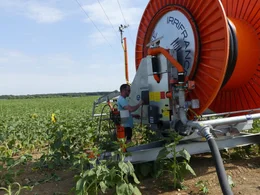 Landwirt Samuel Baudouin an seiner Bew&auml;sserungsanlage