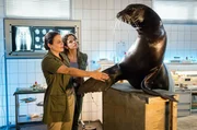 Gro&szlig;er Schock bei der Sportgruppe &bdquo;Graue Tiger&ldquo;: Tom (Alexander Becht, liegend), der Trainer von Charlotte Baumgart (Ursela Monn, vorne l.), ist schwer verungl&uuml;ckt. (mit Komparsen)