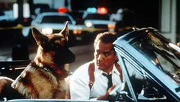 James Belushi.
