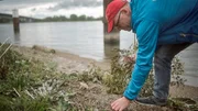 Andreas Fath sammelt am Rand der Donau Plastikm&uuml;ll