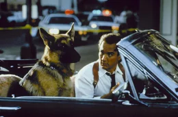 Der Drogenfahnder (James Belushi) und sein neuer Partner, freunden sich im Laufe ihrer Zusammenarbeit an und werden so auch in der Freizeit ein unzertrennliches Gespann ...