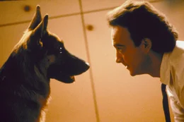 Dem eigensinnigen Drogenfahnder Thomas Dooley (James Belushi) wird f&uuml;r seine neue Aufgabe ein neuer Partner zugewiesen: Sch&auml;ferhund K-9 ...
