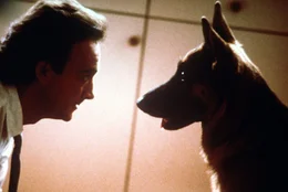 James Belushi.