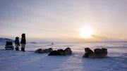 Der neunjährige Dani lebt in einem kleinen Dorf an der rauen Ostküste Grönlands. Gemeinsam mit seinem Vater und seinem Großonkel macht er sich auf die Reise, um Moschusochsen zu jagen. Die beiden gehören zu den letzten Jägern in Grönland, die noch wie früher mit Hundeschlitten unterwegs sind.