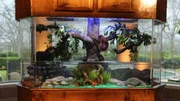 Wide angle shot of finished tank in house.