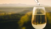 Pipette &uuml;ber einem gef&uuml;llten Weinglas vor h&uuml;geliger Landschaft. Keyvisual "Der gro&szlig;e Weinskandal".