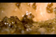 Nach der Ernte geht es ans Verarbeiten: Sabit zerstampft die Waben, in denen sich Honig, Pollen und Wachs befinden, und verarbeitet sie zu einem Brei, der den Waldhonig mit besonderem Geschmack ergibt — reine Natur, ohne künstliche Aromen oder Zusätze.