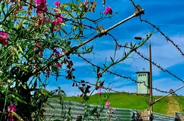 Ein Teil des Grenzdenkmals in H&ouml;tensleben (Landkreis B&ouml;rde). Es ist der einzige Ort in Deutschland, an dem die Sperranlagen &uuml;ber mehrere hundert Meter L&auml;nge und in ihrer &bdquo;Ost-West-Ausdehnung&ldquo; erhalten geblieben und damit f&uuml;r Besucher erlebbar sind.  Die Aufnahmen zeigen den Zaun des fr&uuml;heren &bdquo;Kontrollstreifens&ldquo; samt Stacheldraht und Signaldr&auml;hten; im Hintergrund der erhalten gebliebene Grenzwachturm.