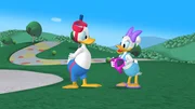 MICKEY MOUSE CLUBHOUSE - "Donald's Lost Lion" – Donald, Daisy; Daisy thanks Donald for finding her glasses.
