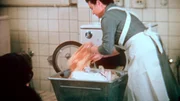 Vorführung eines Waschvollautomaten, 1955. Die meisten Frauen müssen noch von Hand schrubben, walken, kochen, wringen.