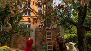 Elmo, Pferd und Wolle pflegen einen Baum.