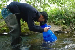 Biologe Dr. Marco Denic vom Landschaftspflegeverband Passau sucht am Wolfertsrieder Bach nach Muscheln, um ihr Wachstum zu &uuml;berpr&uuml;fen. Die Muscheln wurden in einer Zuchtanlage nachgez&uuml;chtet und dann hier eingesetzt. Der Wolfertsrieder Bach geh&ouml;rt zum Zuflussbereich des Schwarzen Regens.