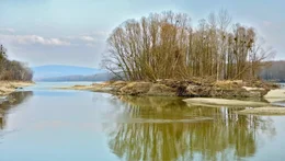 Insel in der Donau.
