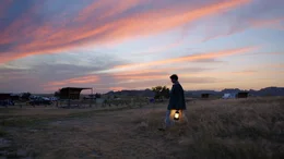 Frances McDormand (Fern).