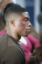 Sex, Lügen und Video