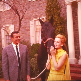 Der junge Verleger Mark Rutland (Sean Connery, l.) will die Ursache f&uuml;r Marnies (Tippi Hedren, r.) Kleptomanie herausfinden ...