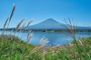 Der heilige Berg Fuji ist das Wahrzeichen Japans. Er schützt ihn die UNESCO als heiligen Ort und Inspirationsquelle für die Künste.