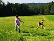 Moderatorin Claudia Pupeter beim Sensenmähen. Moderatorin Claudia Pupeter beim Sensenmähen.