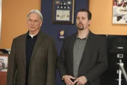 Leroy Jethro Gibbs (Mark Harmon, l.); Timothy McGee (Sean Murray, r.)